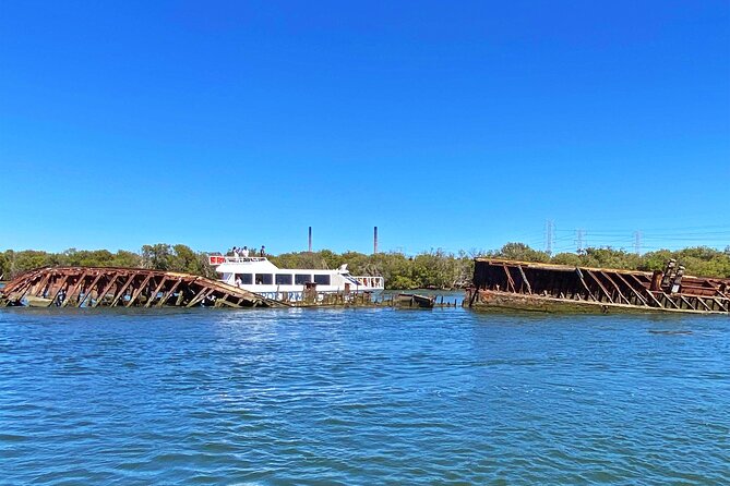 90 Minute Port River Dolphin & Ships Graveyard Cruise - Key points to know before you book