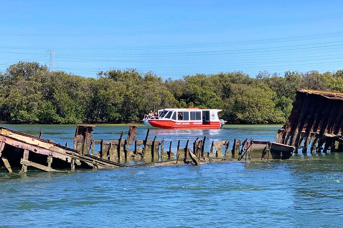 90 Minute Port River Dolphin & Ships Graveyard Cruise - Why the Port River makes an unusual cruise setting