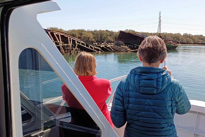 90 Minute Port River Dolphin & Ships Graveyard Cruise - Searching for bottlenose dolphins in the sanctuary