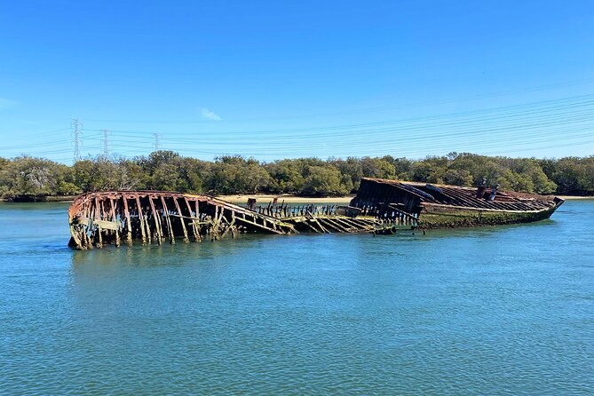 90 Minute Port River Dolphin & Ships Graveyard Cruise - Comfort, weather, and what to bring