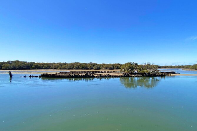 90 Minute Port River Dolphin & Ships Graveyard Cruise - Leaving from 1 McLaren Parade in Port Adelaide