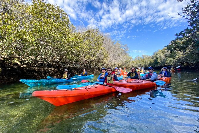 Adelaide Dolphin Sanctuary and Ships Graveyard Kayak Tour - Key points to know before you paddle