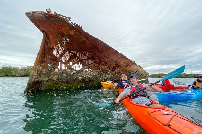 Adelaide Dolphin Sanctuary and Ships Graveyard Kayak Tour - Paddling through the mangrove creeks