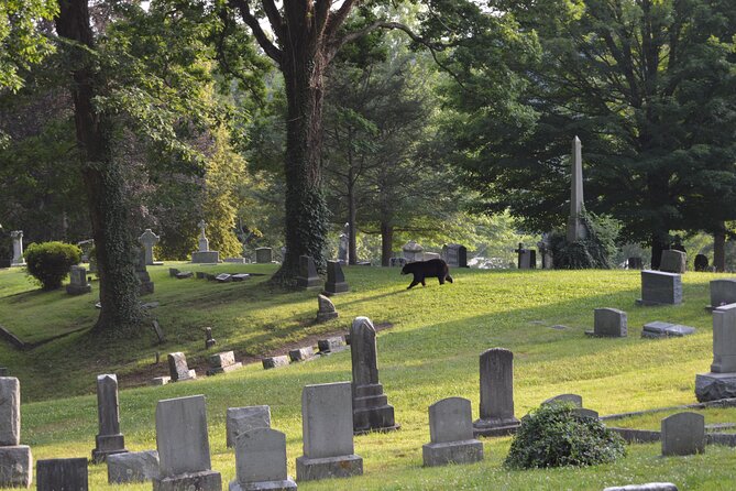 Asheville Ghost Tour: A Walk Through Riverside Cemetery & Montford Neighborhood - Timing, weather, and cancellation details