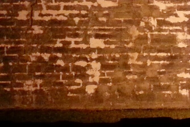 Bones Under Us, Ghost Tour with Archeology - Huguenot Cemetery and the city’s forgotten dead