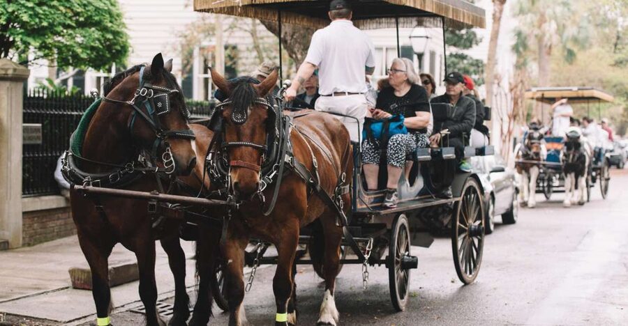 Charleston: Haunted Horse-Drawn Carriage Evening Tour - Who should book this Charleston ghost tour?