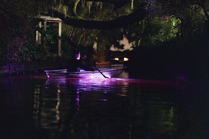 Clear Kayak Glow in the Dark Tour Through Winter Park - Wildlife and waterfront homes