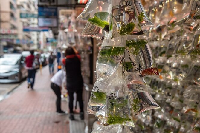 Dark Side of Hong Kong - Kowloon Caged Homes Walking Tour - Yee Kuk Street and the darker side of Sham Shui Po
