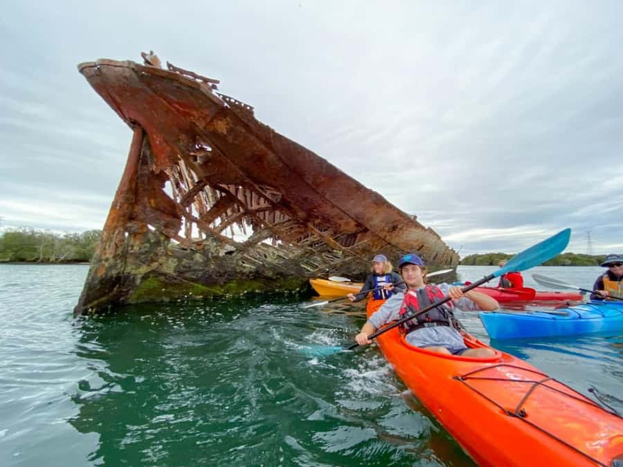 Dolphin Sanctuary and Ships Graveyard Kayak Tour - Why this Port River outing feels different