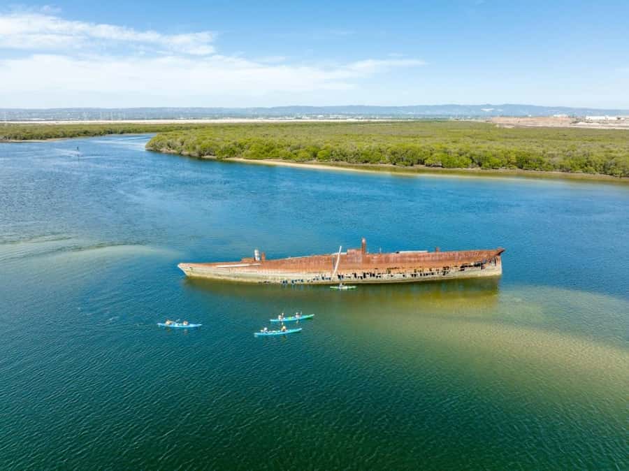 Dolphin Sanctuary and Ships Graveyard Kayak Tour - Paddling the sheltered mangrove creeks
