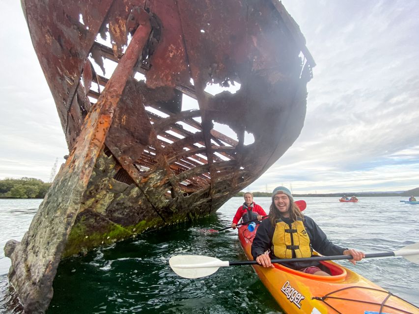 Dolphin Sanctuary and Ships Graveyard Kayak Tour - Looking for Port River dolphins