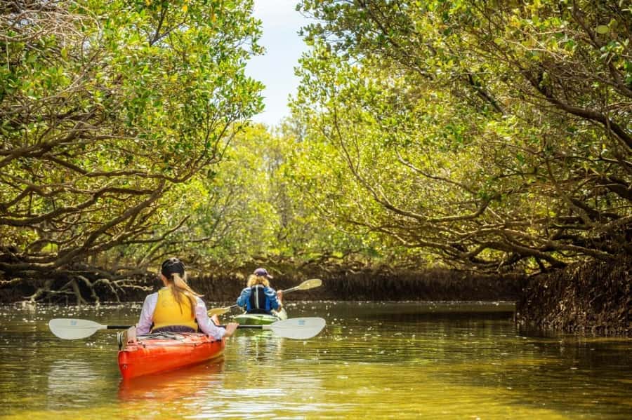 Dolphin Sanctuary and Ships Graveyard Kayak Tour - Getting started at Garden Island Boat Ramp