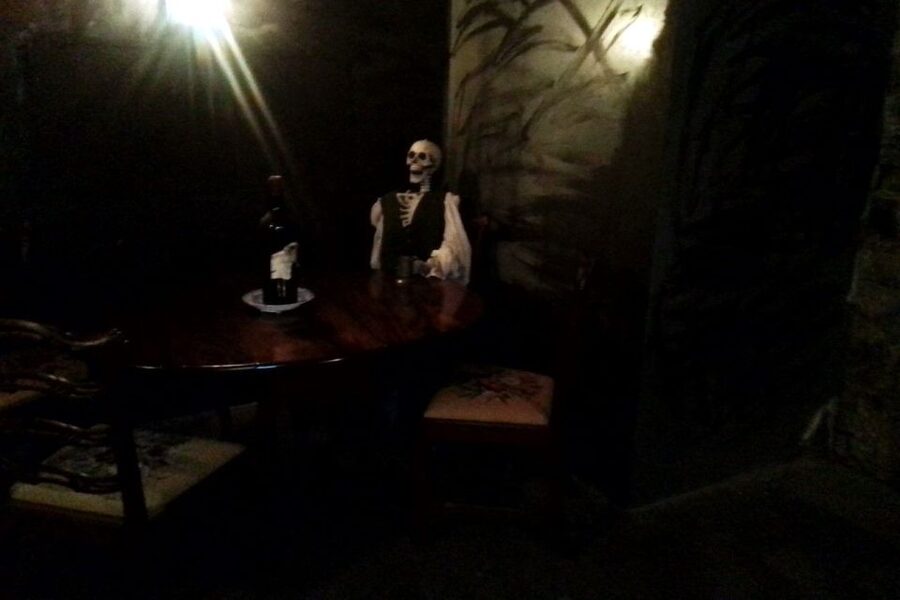 Edinburgh: Guided Ghost Walking Tour - Niddry’s Wynd vaults beneath South Bridge