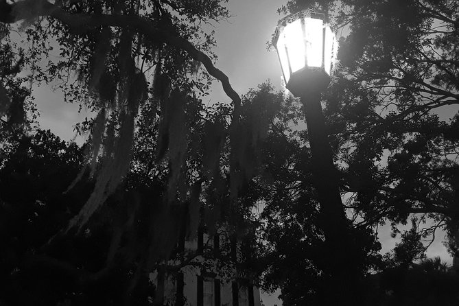 Fraidy Cat: The Family Fun Ghost Tour of Savannah - Walking conditions, weather, and timing