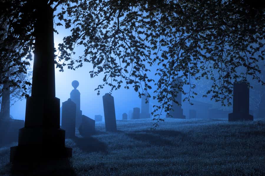 Galveston: Haunted Cemetery Tour - What the 90-minute route feels like