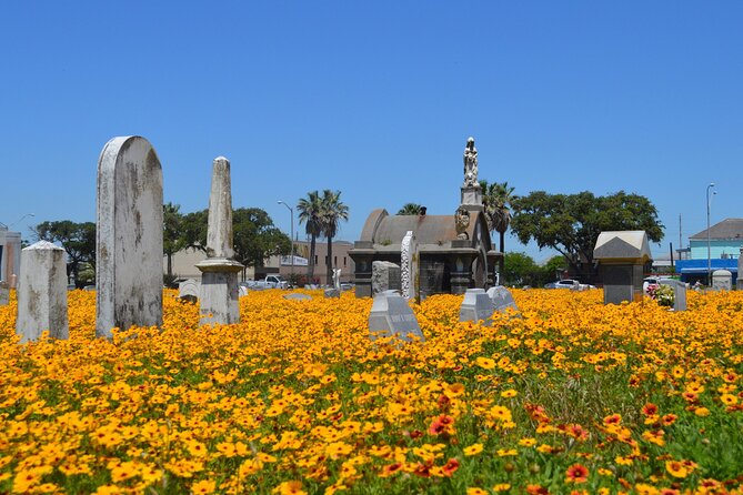 Galveston's Haunted Cemetery Walking Tour - Old City Cemetery, Evergreen Cemetery, and the Yellow Fever Yard