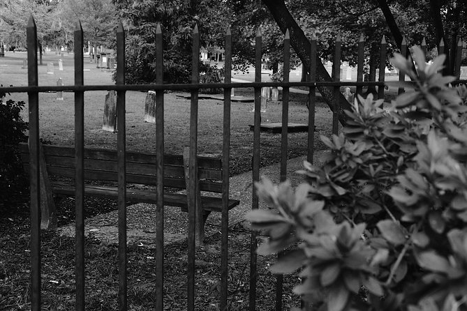 Genteel and Bard's Savannah Dark History and Ghost Encounter Walking Tour - Chippewa Square and the mystery of what was hidden
