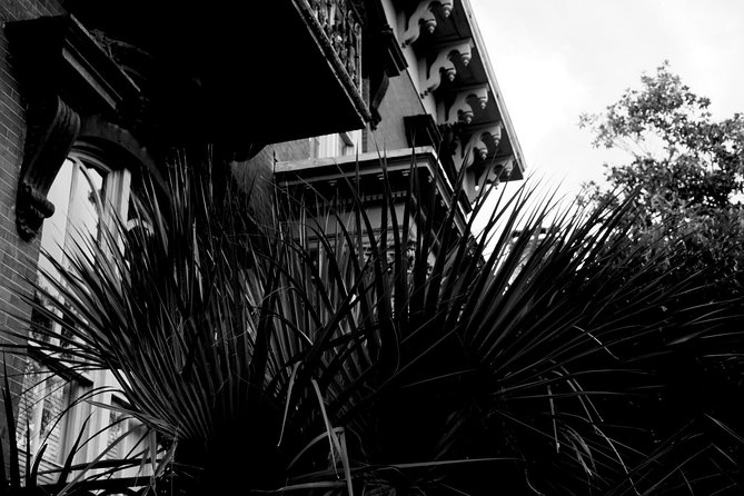 Genteel and Bard's Savannah Dark History and Ghost Encounter Walking Tour - Colonial Park Cemetery after dark