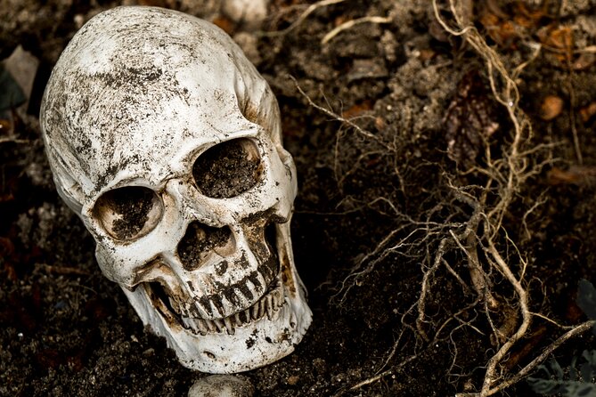 Gettysburg: Ghost Hunt Tour with Ghost Hunting Equipment - Booking, weather, and cancellation details