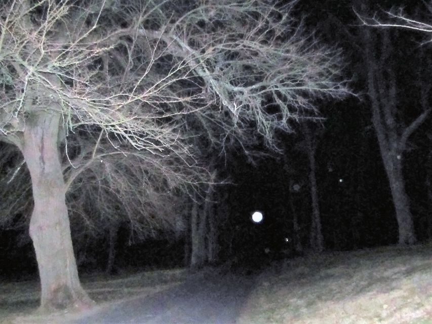 Gettysburg: Ghost Hunt Tour with Ghost Hunting Equipment - Who should book this Gettysburg ghost hunt?