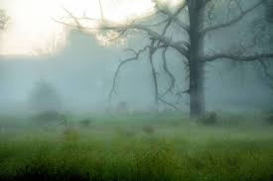 Gettysburg: Paranormal Investigation at the Farnsworth Inn - Dining rooms connect the stories to everyday life