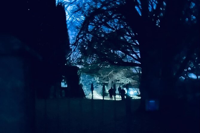 Ghost, Ghouls and Graveyards Private Highland Tour - Greyfriars Cemetery and the monk in the shadows