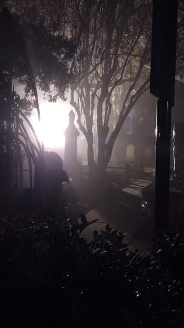 Ghost Tour - Charleston Dark History & Ghost Tour With Adam - Washington Park and the weight of the past