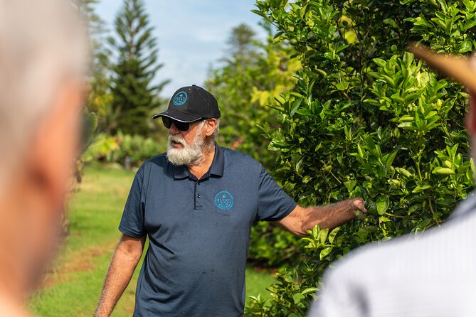 Ghost Tour & Dinner Norfolk Island - Is $70.29 a fair price?