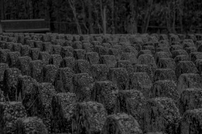 Goodna Cemetery Haunted History Tour - Children, Cars, and the Asylum Graves