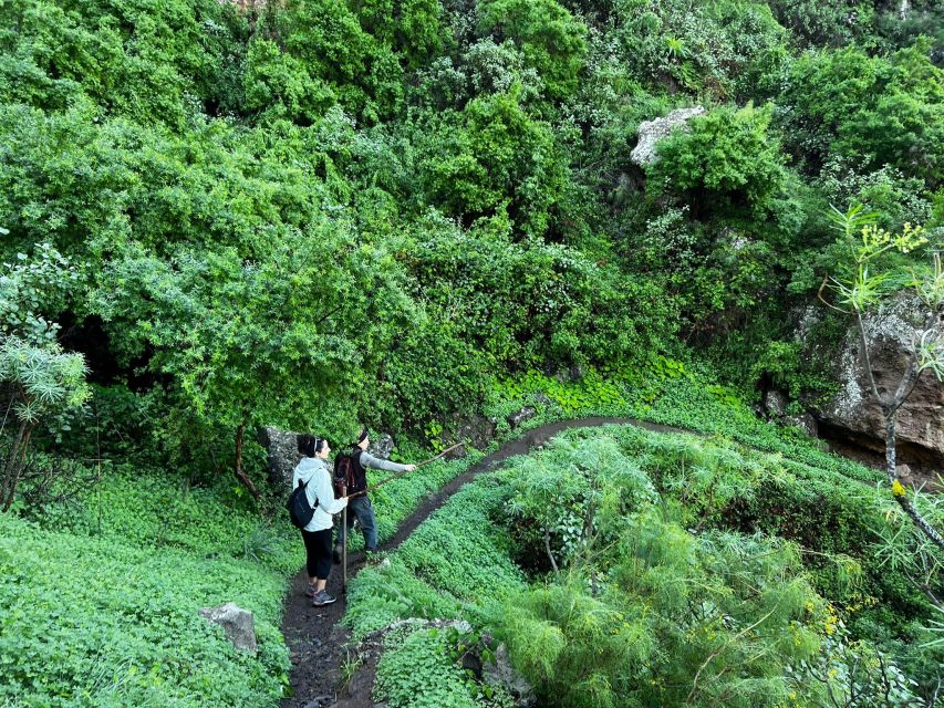 Gran Canaria: Green Witchcraft in the Magic Island - What to wear and carry