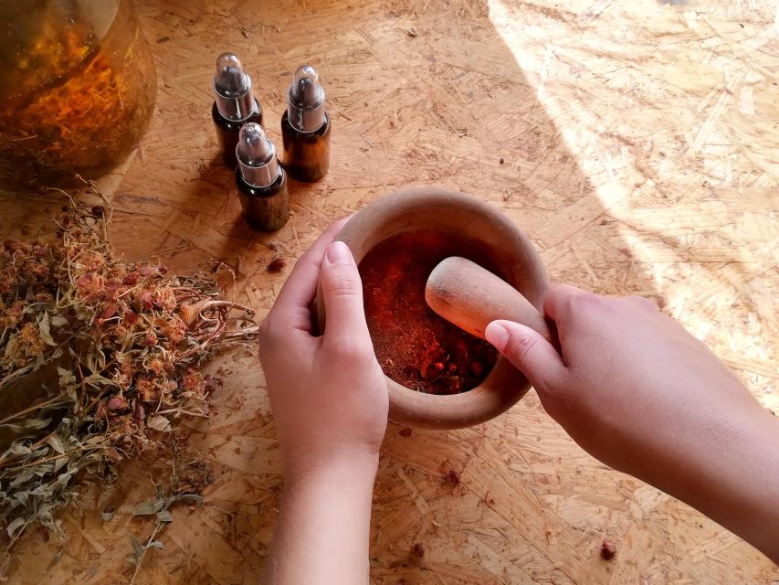 Gran Canaria: Green Witchcraft in the Magic Island - Beginning with Canarian yerbería