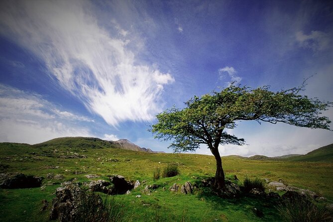 Haunted Bog road tour. Galway. Private guided. 3 hours - Historic sites and spooky stories