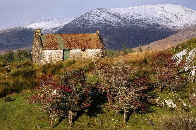 Haunted Bog road tour. Galway. Private guided. 3 hours - The minivan question and value for money