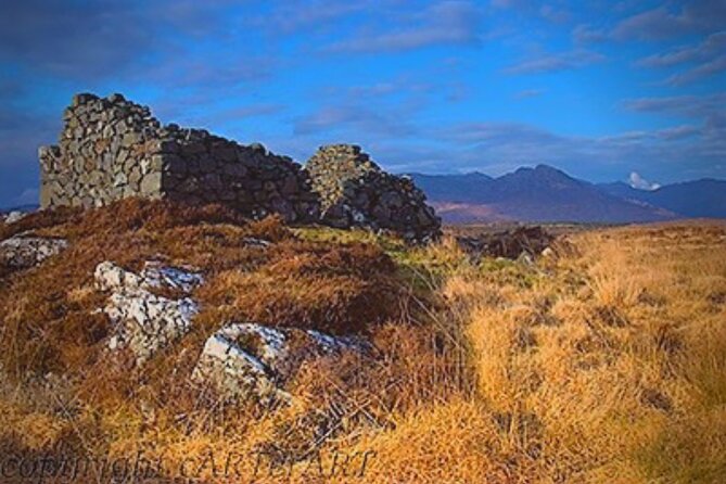 Haunted Bog road tour. Galway. Private guided. 3 hours - Timing, weather, and cancellation