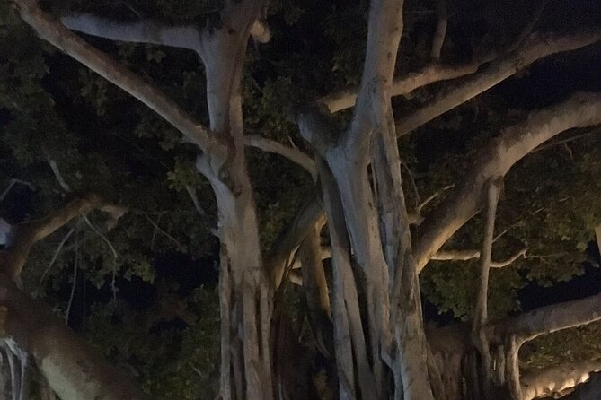 Haunted History of Fort Myers Walking Tour - Walking comfort, weather, and what to bring