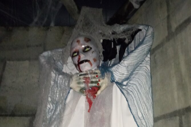 Haunted Mayfield Manor Haunted House Admission - A Good Fit for Families and Haunted-House Fans