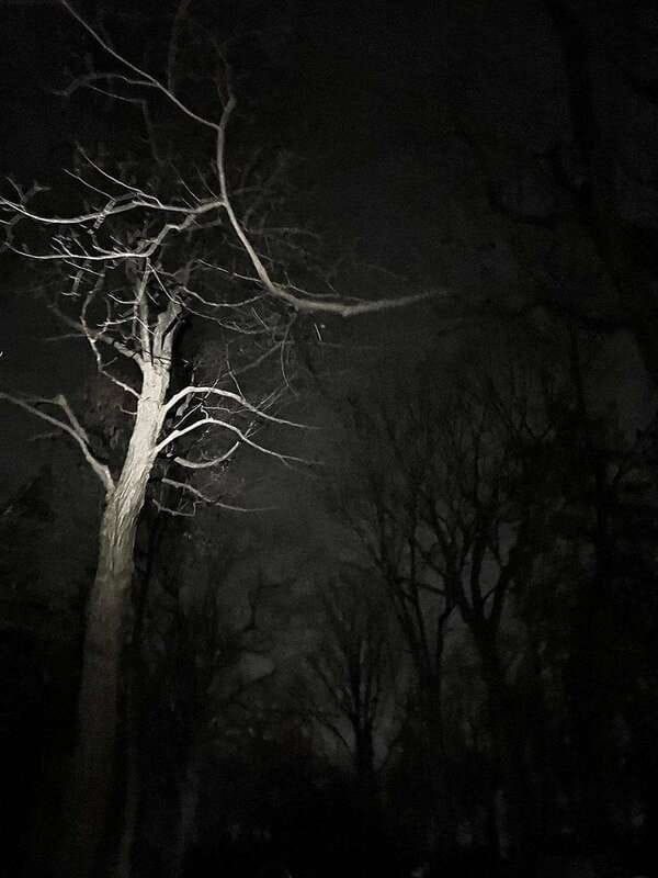 Haunted Mountain Ghost Walking Tour - The cross and Mount Royal’s old legends