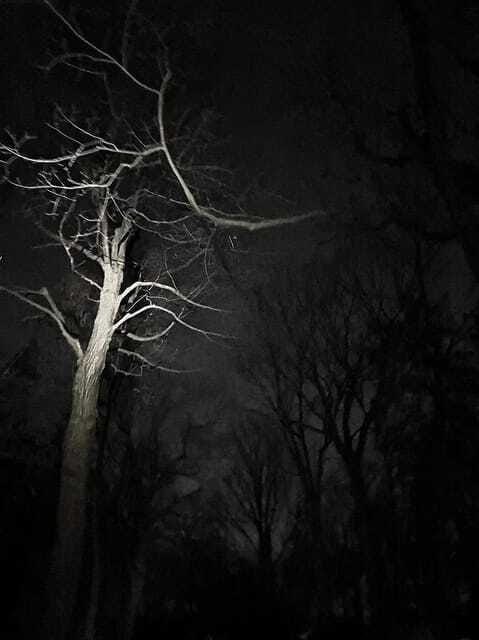 Haunted Mountain Ghost Walking Tour - The abandoned castle, cemetery, and funicular tales