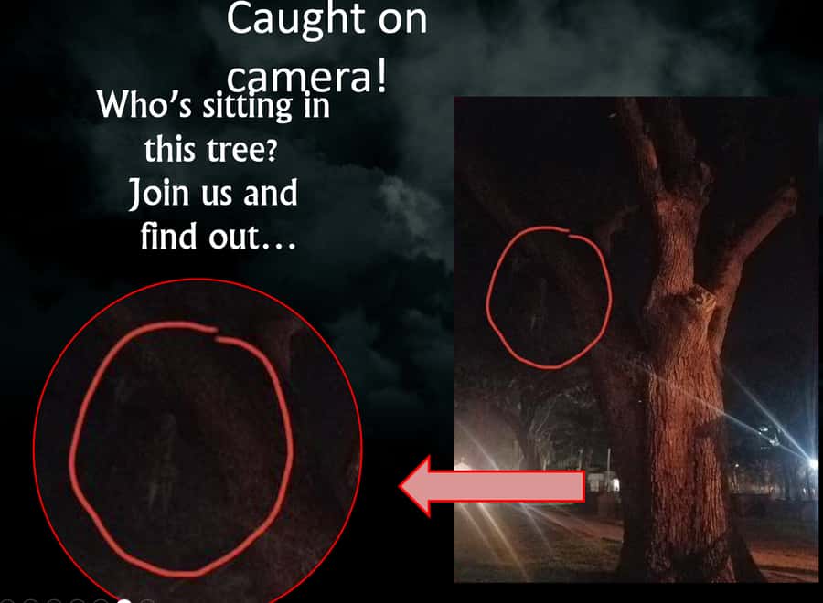 Haunted St. Augustine Semi-Private Paranormal Investigation - Practical tips for a smoother night