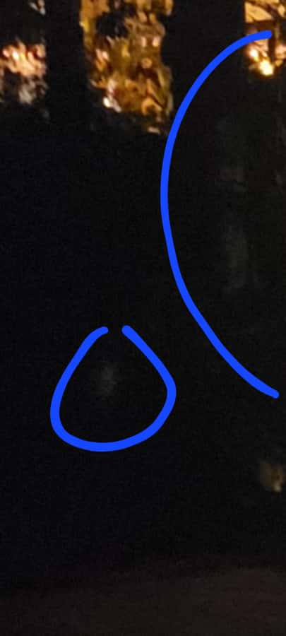 Haunted St. Augustine Semi-Private Paranormal Investigation - Learning what makes a haunting seem genuine