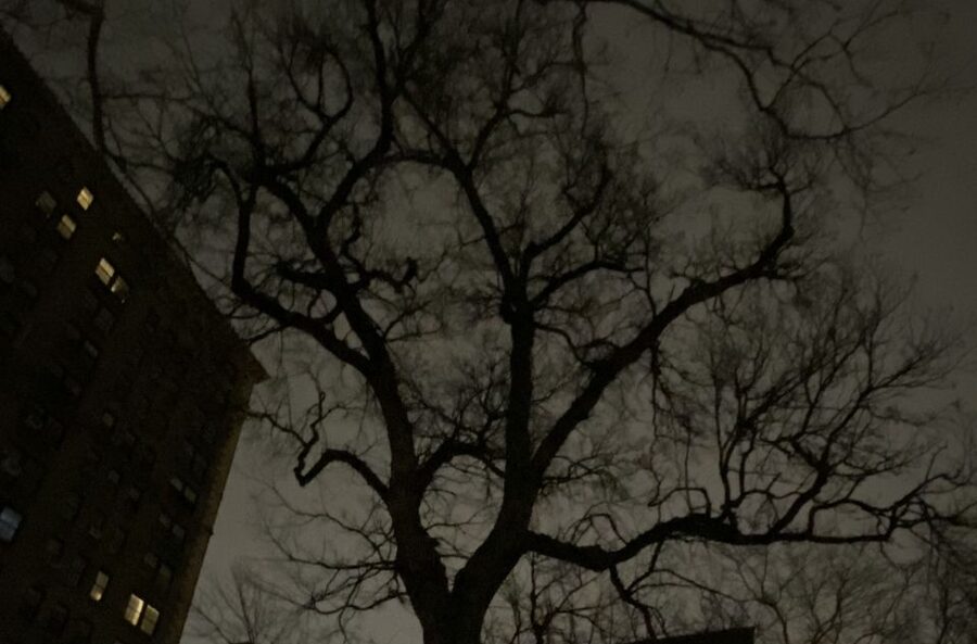 Haunted Village of New York City walking tour - Peter Stuyvesant and the haunted graveyard