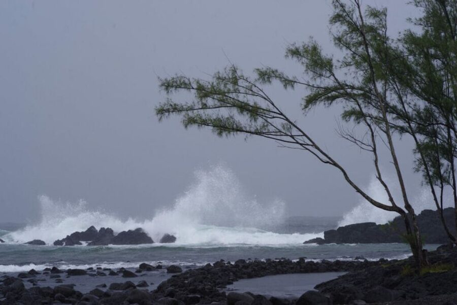 Hilo: Walking Ghost Tour - The Pacific Tsunami Museum and Hilo’s wandering spirits