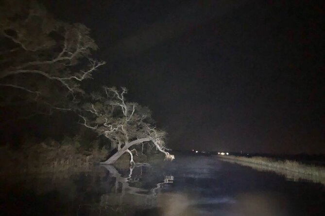 Historical Haunted Bayou Cruise - Mystic Molly and the value of a tiny group