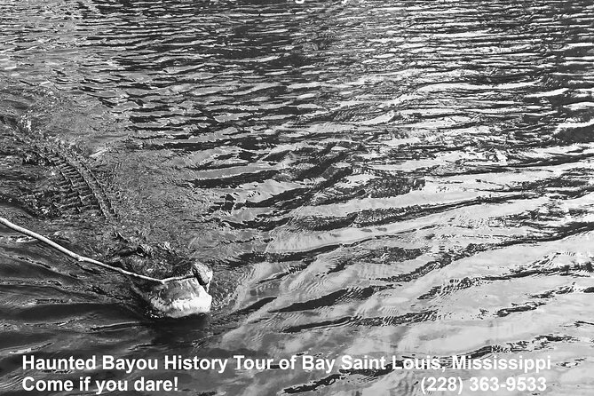 Historical Haunted Bayou Cruise - Is $79 per person a fair price?