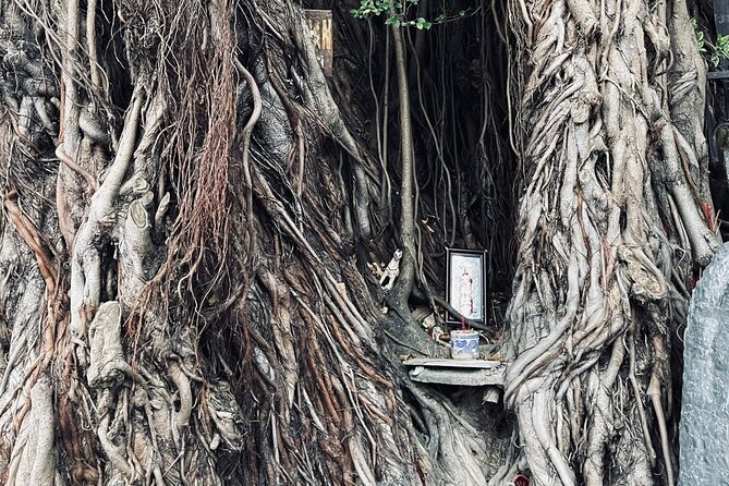 Hoi An Ghosts, Death, Mystery Unveiled - The 400-year-old tree and the first turn into the dark