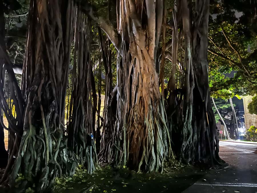 Honolulu Haunts: Ghosts and Spirits Walking Tour - Red Rainbow, Atlas Insurance, and the city after dark