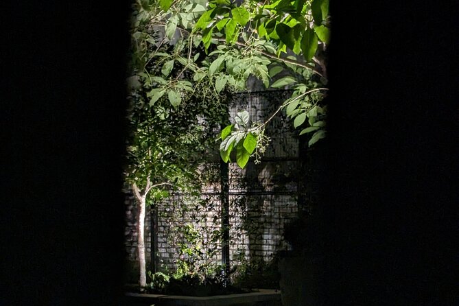 Interactive Paranormal Ghost Walking Tour in Savannah Georgia - The essential details at a glance