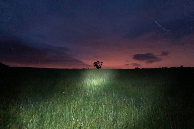Join the Dark Side of Magical Nature - Rain, fitness, and the practical trade-offs