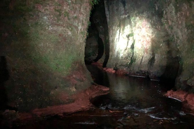 Join the Dark Side of Magical Nature - Who should book this night tour?