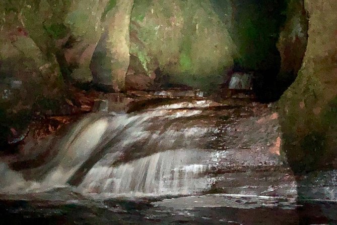 Join the Dark Side of Magical Nature - The 45-minute ride from Glasgow